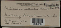 Image Associated With the Occurence